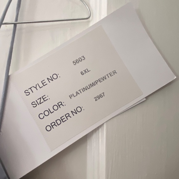 Never Worn with tags Hayley Paige 5603 Bridesmaid Dress - Picture 3 of 3